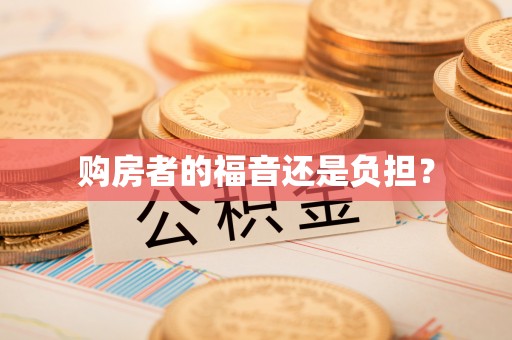 连州购房者的福音还是负担？