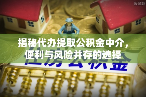 连州揭秘代办提取公积金中介，便利与风险并存的选择