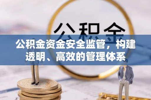 连州公积金资金安全监管，构建透明、高效的管理体系