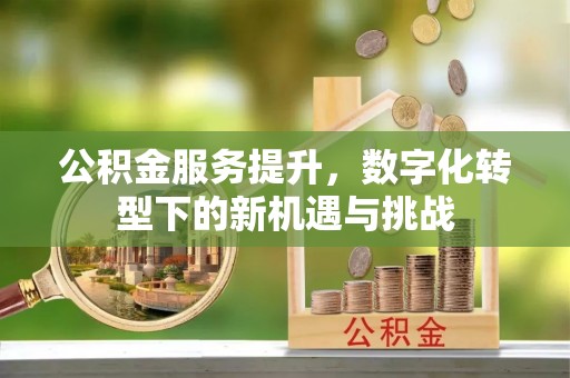 连州公积金服务提升，数字化转型下的新机遇与挑战