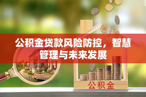 连州公积金贷款风险防控，智慧管理与未来发展
