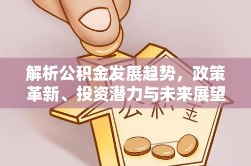 连州解析公积金发展趋势，政策革新、投资潜力与未来展望
