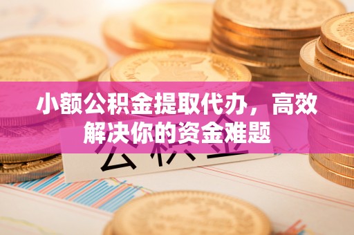 连州小额公积金提取代办，高效解决你的资金难题