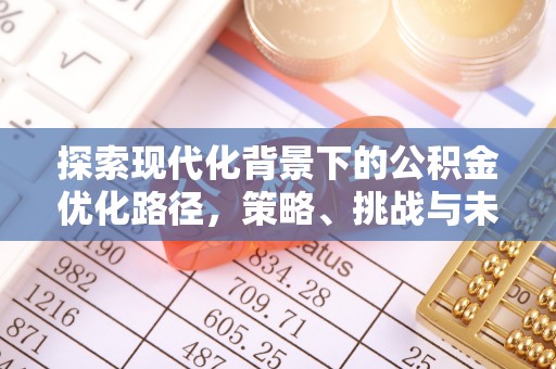 连州探索现代化背景下的公积金优化路径，策略、挑战与未来展望