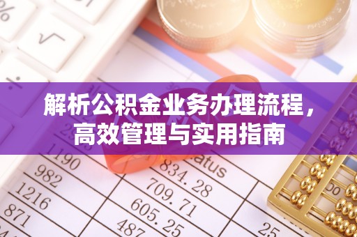 连州解析公积金业务办理流程，高效管理与实用指南