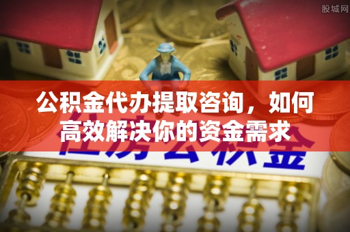 连州公积金代办提取咨询，如何高效解决你的资金需求