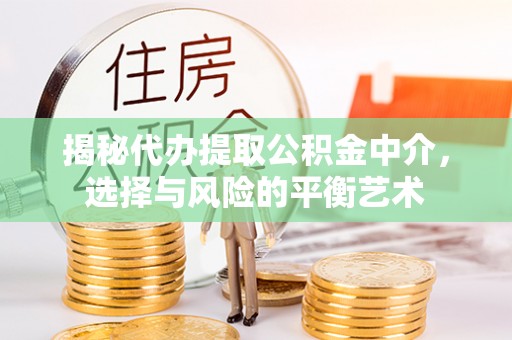 连州揭秘代办提取公积金中介，选择与风险的平衡艺术