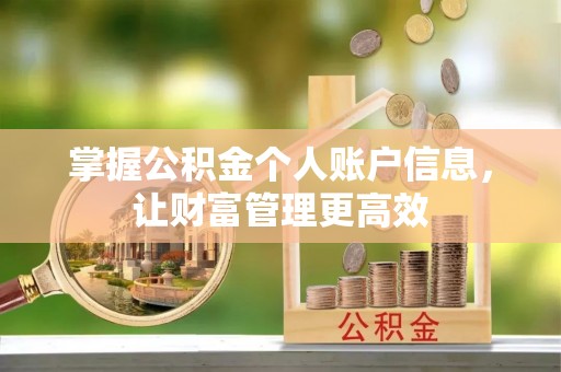 连州掌握公积金个人账户信息，让财富管理更高效