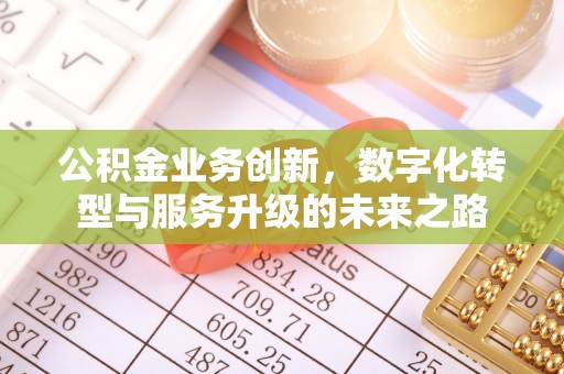 连州公积金业务创新，数字化转型与服务升级的未来之路
