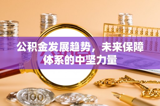 连州公积金发展趋势，未来保障体系的中坚力量
