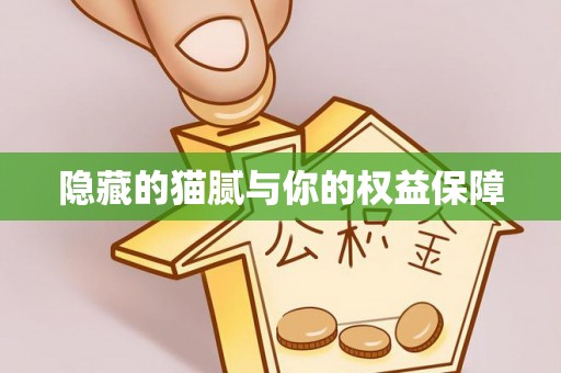 连州隐藏的猫腻与你的权益保障