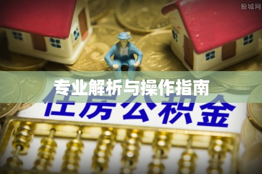 连州专业解析与操作指南
