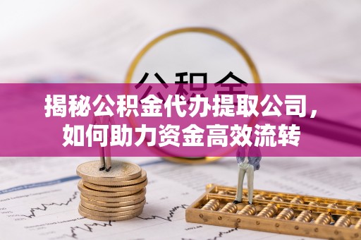 连州揭秘公积金代办提取公司，如何助力资金高效流转