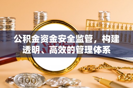 连州公积金资金安全监管，构建透明、高效的管理体系