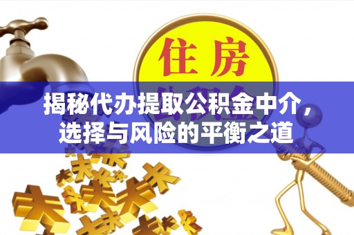 连州揭秘代办提取公积金中介，选择与风险的平衡之道