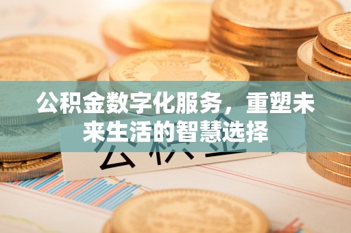 连州公积金数字化服务，重塑未来生活的智慧选择