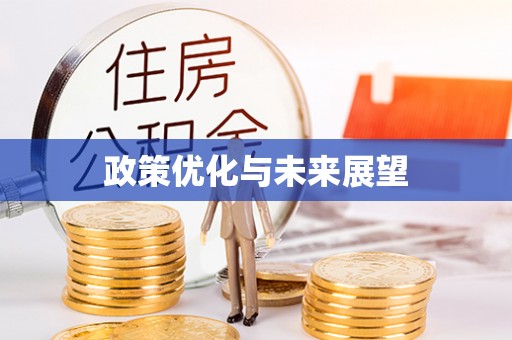 连州政策优化与未来展望