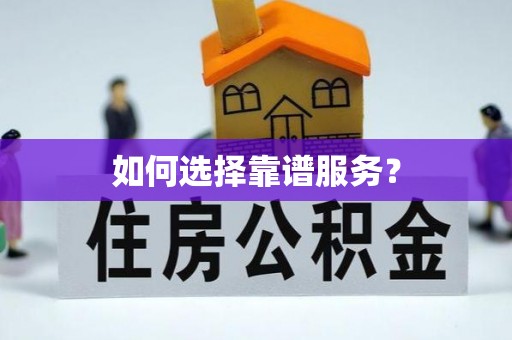 连州如何选择靠谱服务？