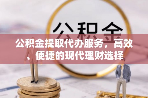 连州公积金提取代办服务，高效、便捷的现代理财选择