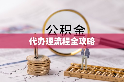 连州代办理流程全攻略