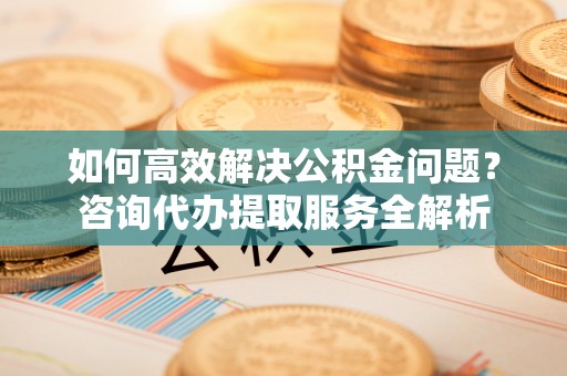 连州如何高效解决公积金问题？咨询代办提取服务全解析